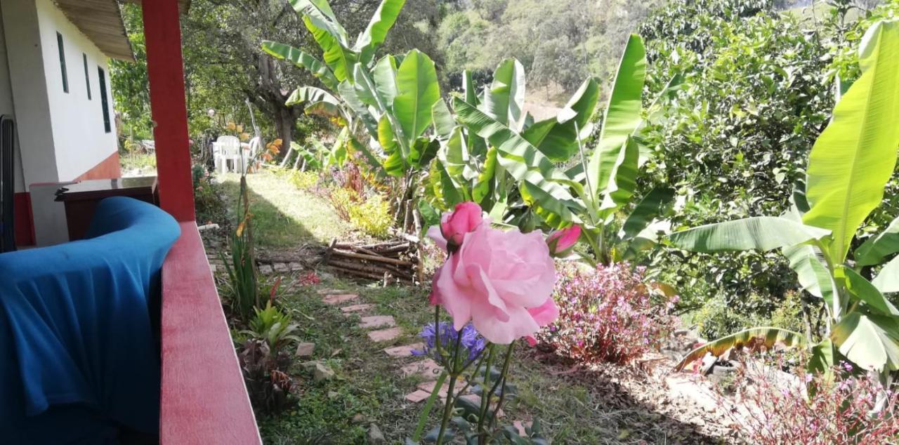 Finca Umnisa - Choachí Exterior foto